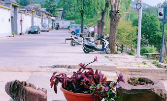 Wangwushan Maohushanju B&B