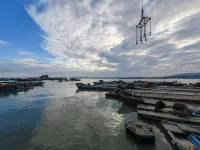 Haogang Homestay Hotels in Zhao'an