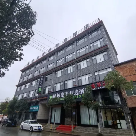 GreenTree Inn Select Hotel (Yanglin Passenger Terminal Store)