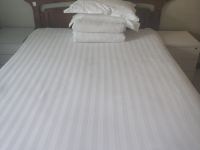 郑州金水区绿城宾馆 - 普通大床房
