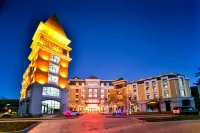 Forest Resort