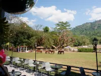 Sida Resort & Hotel Hotels near Khun Dan Prakan Chon Dam roundabout