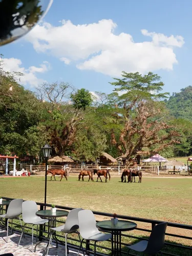 รูปภาพของสีดารีสอร์ท