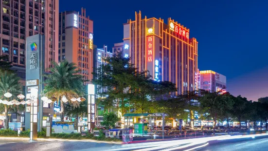 Baihe Hotel (Shunde Lecong Jiajucheng )