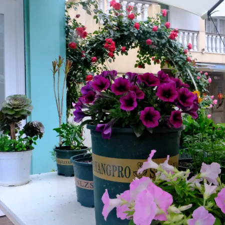 Cangnan Banxia Xiaozhu Homestay