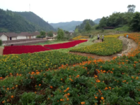 Yashan Tourism Resort Area Luojia Xiangcai Homestay