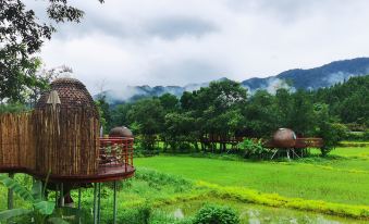 Jingdezhen Yuli Scenic Area Countryside Ant Homestay