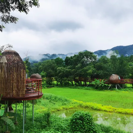 Jingdezhen Yuli Scenic Area Countryside Ant Homestay