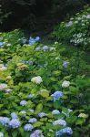 山的禪｜山的書房