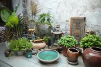 Shanggu Homestead" Qing Dynasty Siheyuan Boutique Hotel (Border Town Chadong Scenic Area Branch)