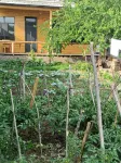 Resibei Homestay