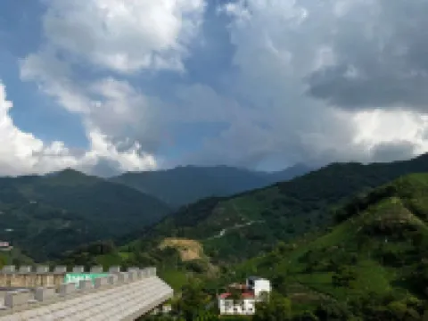 Dongzhou Tea Homestead