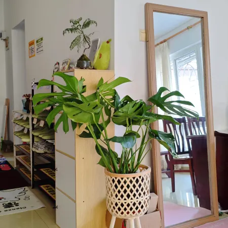 Guixiang Female Only Hostel