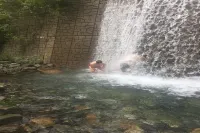 소나무펜션 정선군 호텔