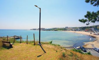 Pohang View 141 Pension
