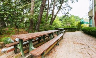 Taean Solmoe Maeul Pension