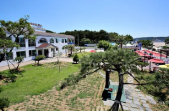 Hotel Mallipo Hoteles en 