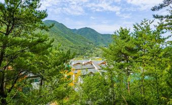 Yangsan (Baenaegol) Solmaru Pension