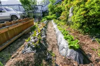 Hongcheon Ganggauiseong Pension Hotel a Hongcheon-gun