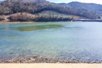 高興海灘喬伊旅館 - 家庭旅館