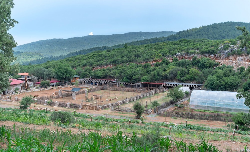 Yenice Vadi Dogal Yasam Koyu