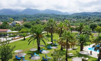 a lush green field with palm trees and umbrellas , creating a serene and picturesque atmosphere at Elizabeth