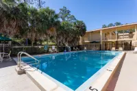 La Quinta Inn by Wyndham Tallahassee North - Pools
