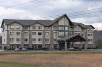 Comfort Inn & Suites Near Lake Guntersville