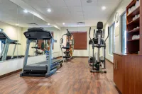 Holiday Inn Express & Suites Hebron - Cincinnati Airport by IHG - Gym