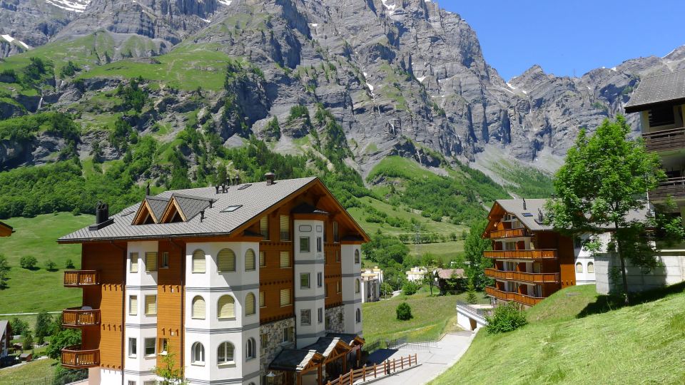 Edelweiss D