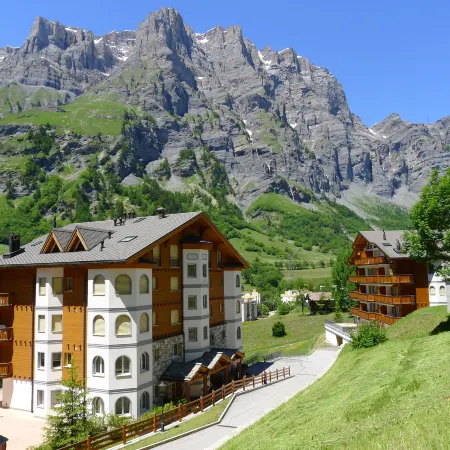 Edelweiss C
