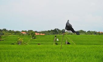 The Bali Dream Villa & Resort Echo Beach Canggu