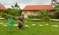 Hotel la Aldea del Halach Huinic Các khách sạn ở Palenque