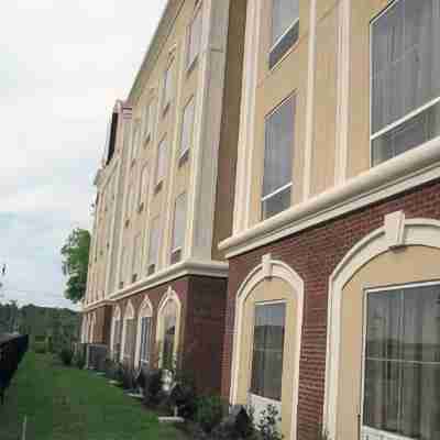 Comfort Suites Olive Branch Hotel Exterior