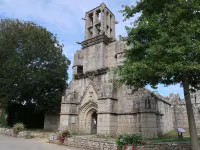 Camélia