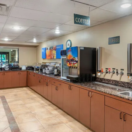 Comfort Inn & Suites Branson Meadows