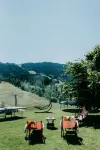 Herzele