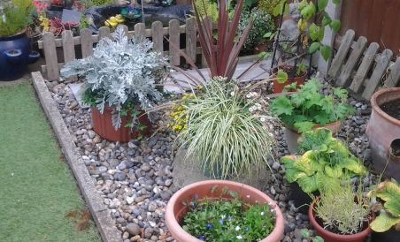 Rosevale Bed & Breakfast