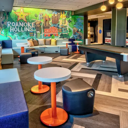 Tru by Hilton Roanoke Hollins
