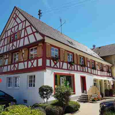 Bodensee Hotel Storchen Hotel Exterior