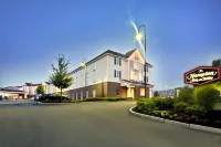 Hampton Inn & Suites Cape Cod-West Yarmouth Hotels in West Yarmouth