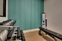 Holiday Inn Express & Suites ATLANTA NW - POWDER SPRINGS by IHG - Fitnessstudio
