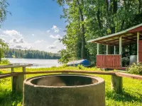 Saniainen 5