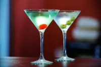 Roosevelt Hotel & Suites - bar