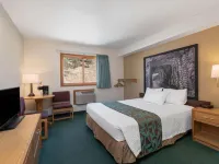 Super 8 by Wyndham Hill City/Mt Rushmore/ Area Hotels in Hill City