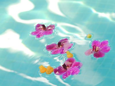 ホテル周辺 ラグナガーデンホテルの写真