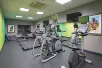 Holiday Inn & Suites DURANGO DOWNTOWN by IHG - gimnasio