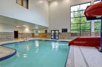 Hampton Inn by Hilton Chilliwack - Pools