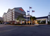 Hilton Garden Inn Savannah Midtown - Ramah Hewan Peliharaan