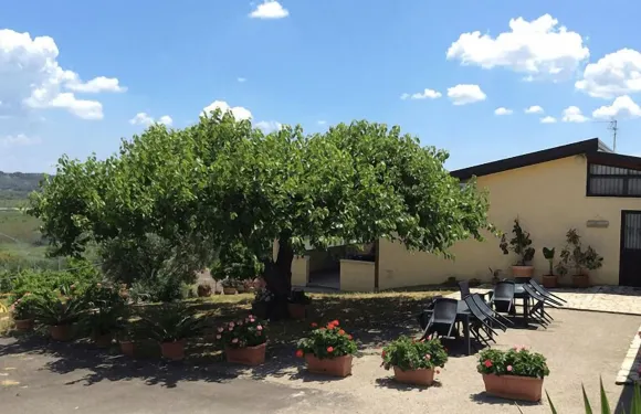 伊爾特拉佐蘇西尼酒店